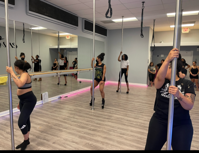 Meet the Team — PFA Dance and Aerial Fitness